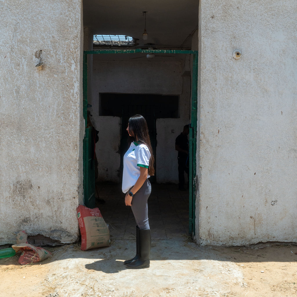 Unisex White/Green Polo
